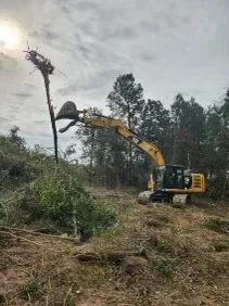 Excavator with extended boom removing trees and clearing overgrown land